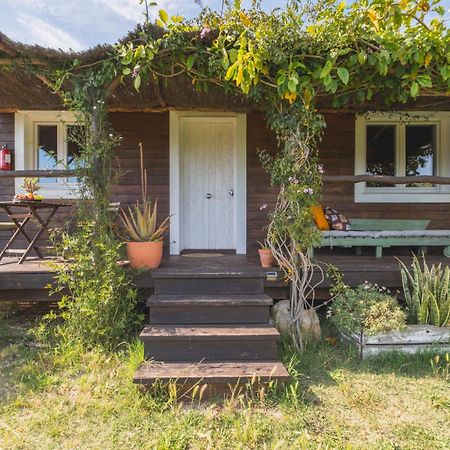 Ruralcamomo Villa Cadiz Ngoại thất bức ảnh