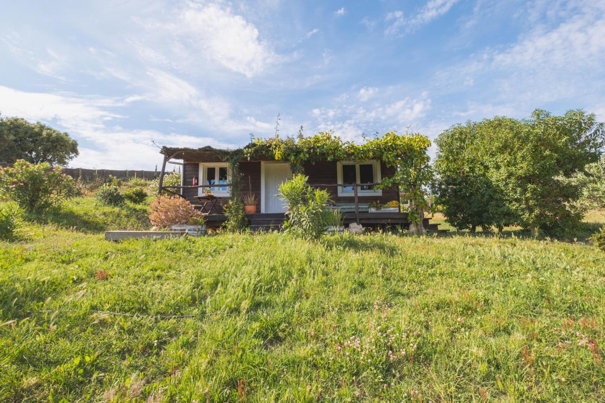 Ruralcamomo Villa Cadiz Ngoại thất bức ảnh